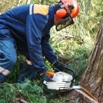 Person in safety gear using a chainsaw to cut down a small tree or section of trunk outdoors, illustrating manual tree felling techniques and safe chainsaw operation.